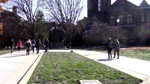 University of Illinois at Urbana-Champaign