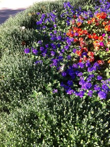 It doesn't matter if the picture you took is pretty. Make sure it makes sense with your story